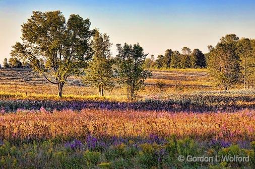 Landscape At Sunrise_20284.jpg - Photographed near Smiths Falls, Ontario, Canada.